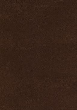 ESV Thompson Chain-Reference Bible