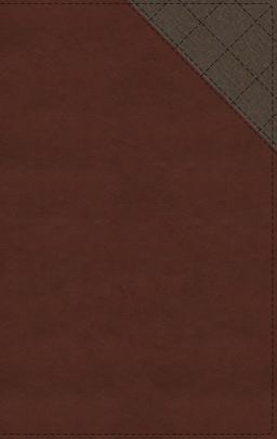 NIV Thinline Bible, Red Letter, Comfort Print [Brown]