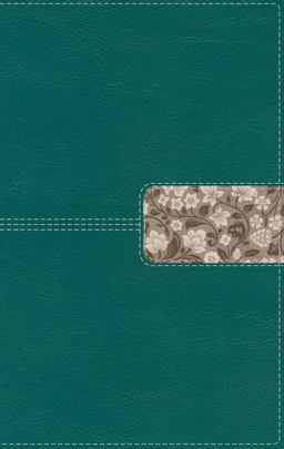 NIV Thinline Bible, Red Letter, Comfort Print [Teal]