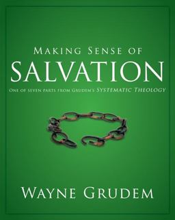 Making Sense of Salvation