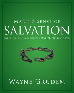 Making Sense of Salvation