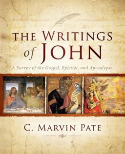 Writings of John A Survey of the Gospel, Epistles, and Apocalypse  9780310530671 Front Cover