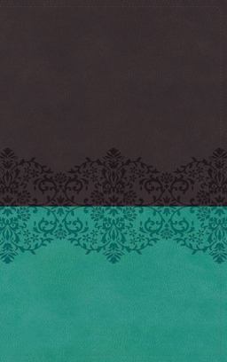 NIV Life Application Study Bible