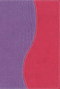 Our Heritage and Faith Holy Bible for African-American Teens