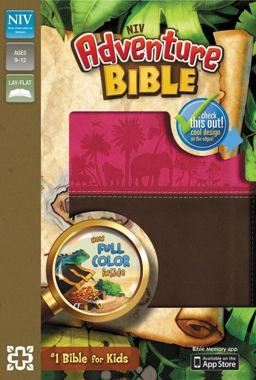 NIV Adventure Bible