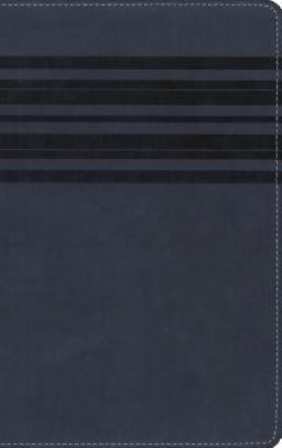 Large Print Holy Bible