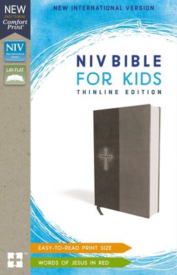 NIV Bible for Kids Red Letter Thinline Edition [Grey]