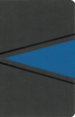 NIV Boys Bible [Grey/Blue]