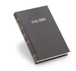 NIV Worship Bible