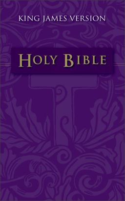 Holy Bible Traditionally Loved and Accepted  9780310904168 Front Cover