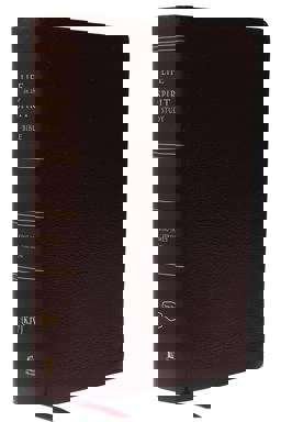 KJV Life in the Spirit Study Bible