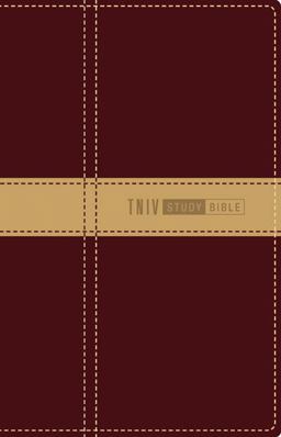 TNIV Study Bible