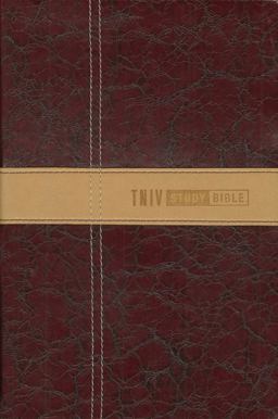 TNIV Study Bible