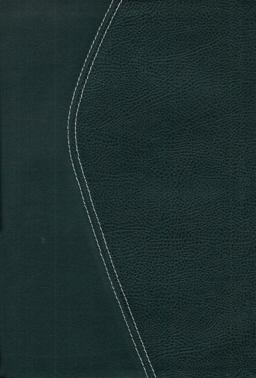 Zondervan TNIV Study Bible