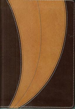 Niv Student Bible Compact