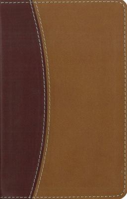 NIV Compact Thinline Reference Bible