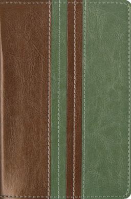 NIV Compact Thinline Bible