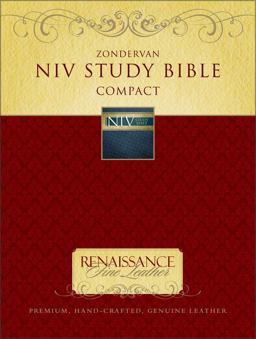 NIV Study Bible
