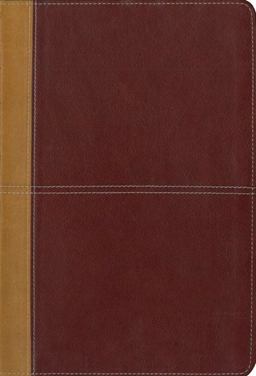 KJV/Amplified Parallel Bible