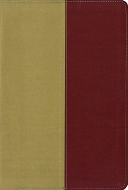 KJV/Archaeological Study Bible