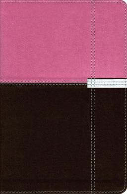 NIV Life Application Study Bible