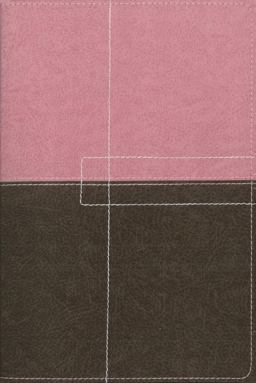 Archaeological Study Bible