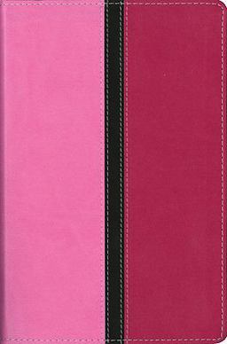 The NIV Bible for Busy Moms