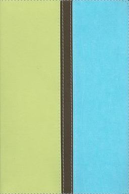 Niv Giant Print Compact Bible