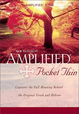 Amplified - Pocket Thin