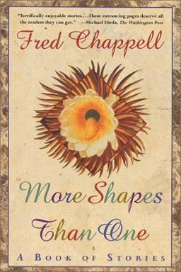 More Shape Than One A Book of Stories  9780312082659 Front Cover