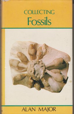 Collecting Fossils