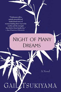 Night of Many Dreams A Novel  9780312199401 Front Cover