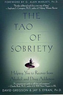 Tao of Sobriety Helping You to Recover from Alcohol and Drug Addiction  9780312242503 Front Cover