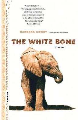 White Bone A Novel 1st 9780312264123 Front Cover