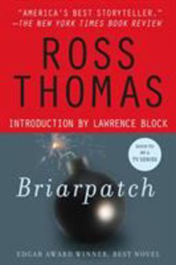 Briarpatch A Novel  9780312290313 Front Cover