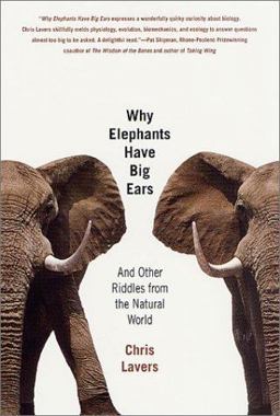 Why Elephants Have Big Ears And Other Riddles from the Natural World  9780312303334 Front Cover
