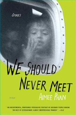We Should Never Meet Stories  9780312322670 Front Cover