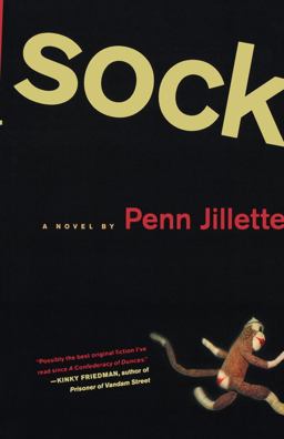 Sock A Novel  9780312328054 Front Cover