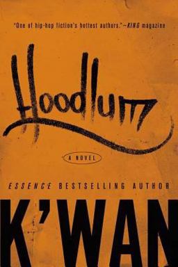 Hoodlum A Novel  9780312333089 Front Cover