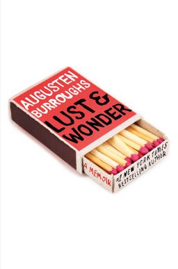 Lust and Wonder A Memoir  9780312342036 Front Cover