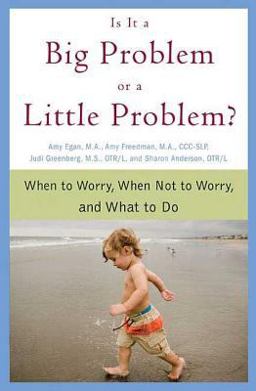 Is It a Big Problem or a Little Problem? When to Worry, When Not to Worry, and What to Do  9780312354121 Front Cover