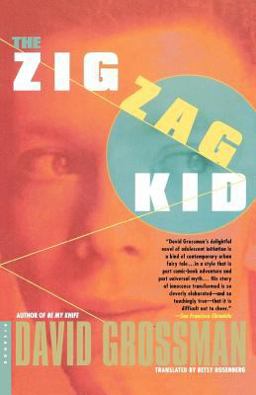 Zig Zag Kid A Novel  9780312420994 Front Cover
