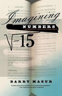 Imagining Numbers (particularly the Square Root of Minus Fifteen)  9780312421878 Front Cover