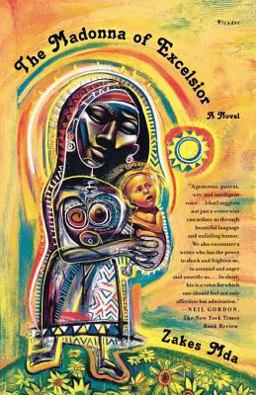 Madonna of Excelsior A Novel  9780312423827 Front Cover