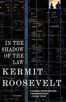 In the Shadow of the Law A Novel  9780312425883 Front Cover