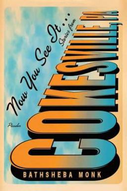 Now You See It ... Stories from Cokesville, PA  9780312426101 Front Cover