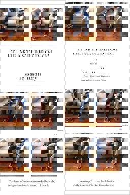 Master Bedroom A Novel  9780312427979 Front Cover