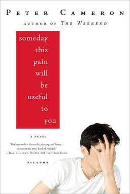 Someday This Pain Will Be Useful to You A Novel  9780312428167 Front Cover