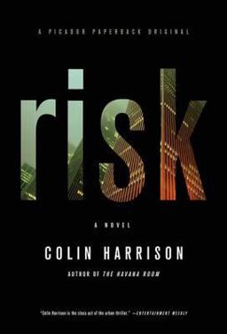 Risk A Novel  9780312428938 Front Cover