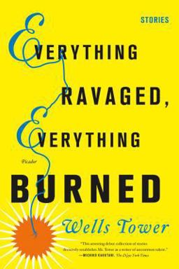 Everything Ravaged, Everything Burned: Stories  9780312429294 Front Cover